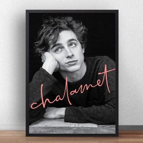 Timothee Chalamet Timo Young Portrait Moive Film Star Decorative Poster Wall Art Canvas Sticker Home Decor Gift