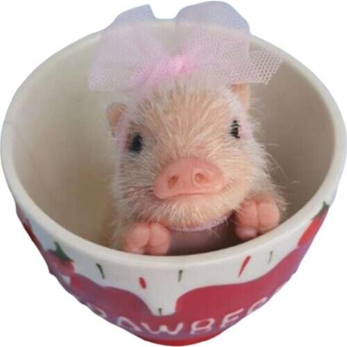 2020 5’’ AVANI DOLL Full Body Silicone Piglet Cute lifelike Piglet Reborn Baby Piglet