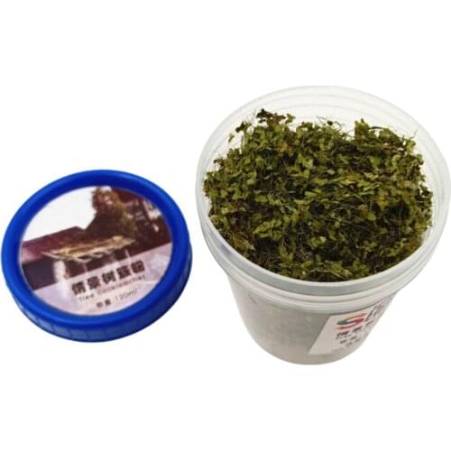 23g Scatter Foliage Material Wooden Tree Powder Leaves Scale Model Building Material Grass Miniature Dioramas