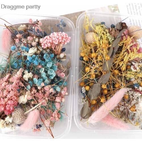 Colorful Real Dried Flower Plant For Aromatherapy Candle Epoxy Resin Pendant Necklace Jewelry Making Craft DIY Accessories