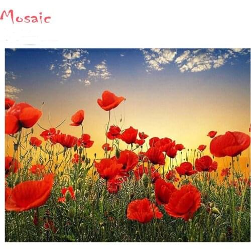 Rhinestone painting Home Decor DIY Diamond painting Poppies flower 5D cross stitch pattern diamond embroidery crystal wall art