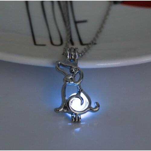 Glow in the Dark Necklace with Silver Color Cute Dog Shaped Luminous Stone Locket Pendant Choker Necklace for Unisex Gift