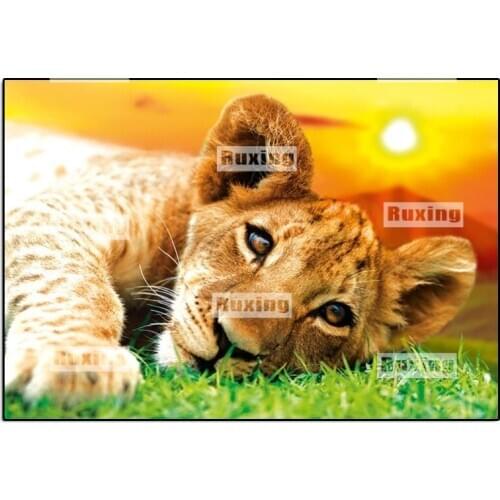 Ruxing,DIY,5D,Diamond Embroidery,Diamond Mosaic,Lion,tiger,Handmade,Cross Stitch,Kits,Patterns,Diamond Painting,Rhinestones,Arts