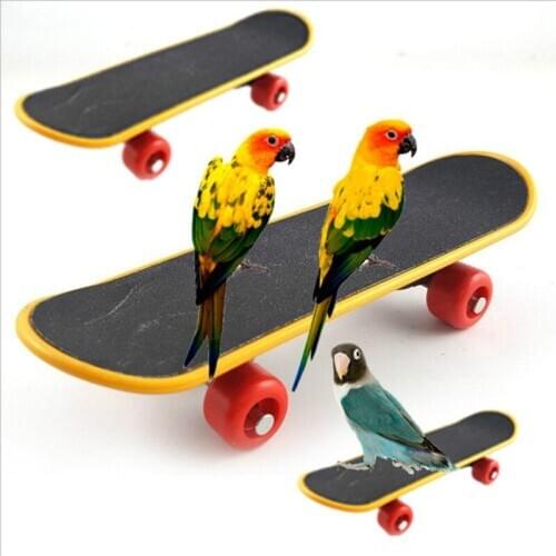 Bird Budgies Parakeet Cockatiel Toys Parrot Stand Skateboard Bird Accessories Claws Traning Mini Slide Plate 5pc/lot
