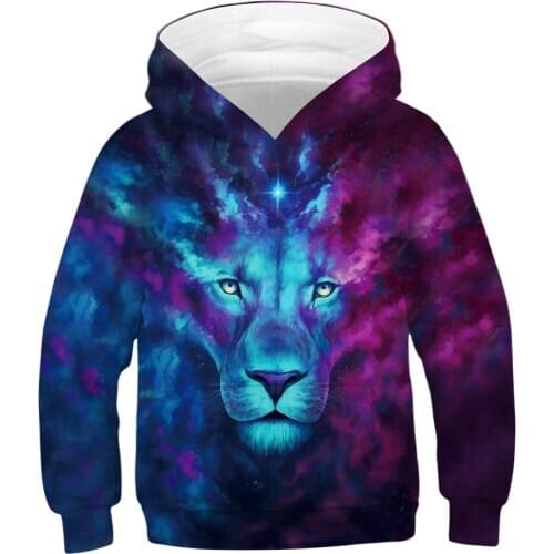 Big Size 4-14 Years Wolf And Lion 3D Hoodies for Boys Teenagers Oversized Sweatshirt for Boys Kids Sweatshirt Clothes
