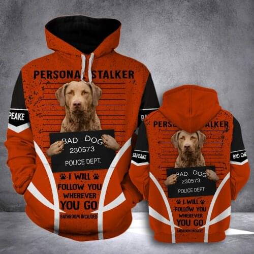 Spoof Bad Dogs Mens 3D Print Hoodies Pitbull Pug Doberman Funny Pullover Unisex Sweatshirts Hood Jacket Women New Streetwear 2
