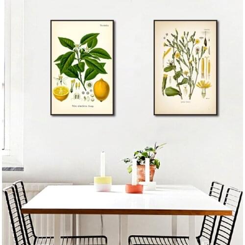 Vintage Abstract Botany Lemon Plant Canvas Painting Wall Art Flowers Picture Posters and Print Craft for Living Room Decoration