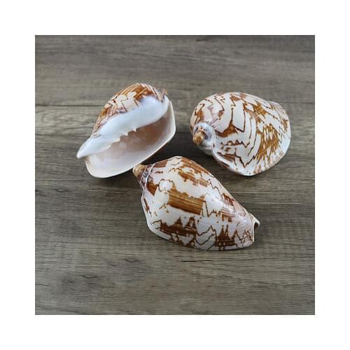 Natural Seashells Childrens Toy Whistle Vortex Mountain Water Conch Shells Fish Tank Landscaping Decorative Floor Decoration