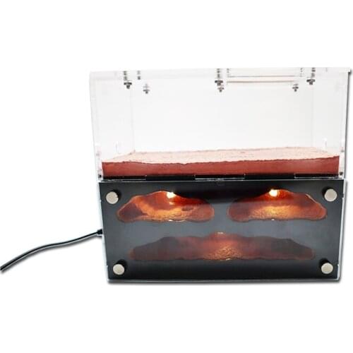 Ecological Ant Farm House with Independent Lights Control Ant Nest Concrete Insect Hotel Pet Anthill Workshop 3 Lights Ant House