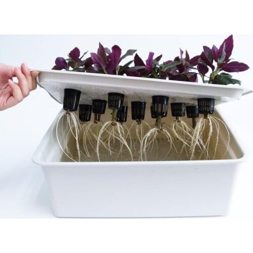 11 Holes Household Small Hydroponic Box Soilless Cultivation Planting Lettuce Mint Strawberry At Home Garden Greenhouse