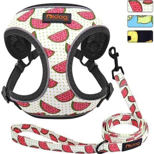 Cute Adjustable Dog Harness Leash Set Reflective Mesh Puppy Vest Nylon Pet Walking Leash Lead For Small Medium Dogs Chihuahua