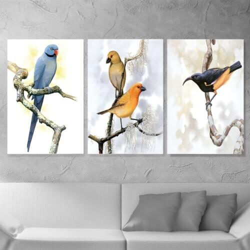 Nordic Birds on Branch Poster Canvas Print Painting Wall Art Living Room Home Decoration
