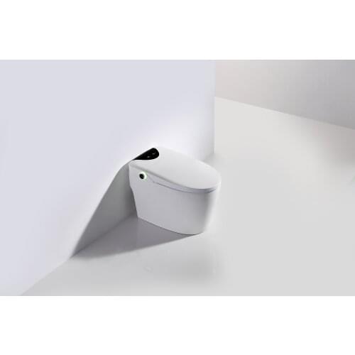 Luxury S-trap Automatic opening cover Intelligent WC Remote Controlled Smart Toilet Bidet RSV8-2