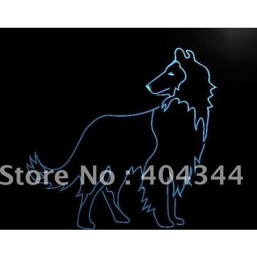 LK521- Collie Dog Pet Display Gift LED Neon Light Sign home decor crafts