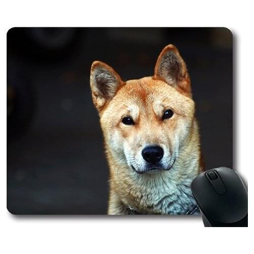 Golden retriever puppy dog,Republic Of Korea Puppy Dog Korean Jindo Dog Facial,dogs mouse mat
