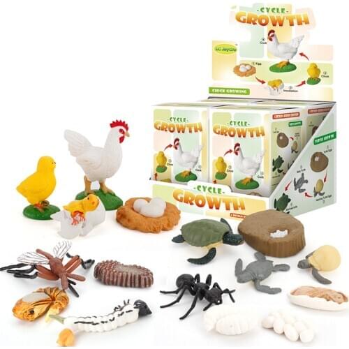Simulation Animals Growth Cycle Butterfly,Ladybug,Chicken Life Cycle Figurine Plastic Models Action Figures Educational Kids Toy