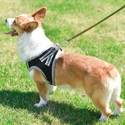 Dog Harness Leash Set for Small Medium Dogs Cat Pet Accessories Vest Puppy Chest Strap Pug Chihuahua Bulldog Dog Accessories