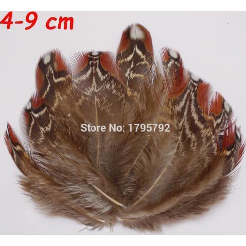 20pcs 4-9cm Natural Pheasant chicken feathers for DIY crafts Clothing jewelry Headwear Christmas Holiday Hat Decoration plumes