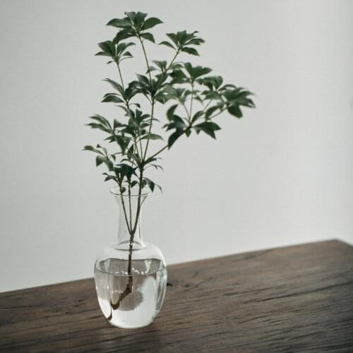 Стеклянные вазы для цветов LUWU China At AliExpress