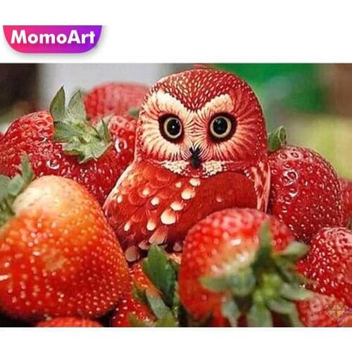 MomoArt DIY Diamond Painting Owl Animal New Arrival Diamond Mosaic Fruit Full Drill Square Embroidery Cross Stitch Wall Decor