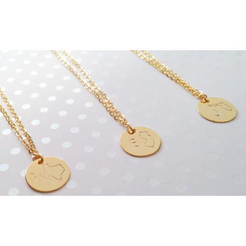Personalized Gift for mom Initial Necklace country state Necklace For Women Graduation Gift family tree Necklace N489