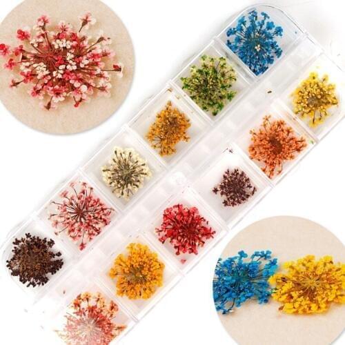 1 set Nail Art Decals Real Dry Dried Flower for 3D UV Gel Acrylic False Tips Nail Art Salon