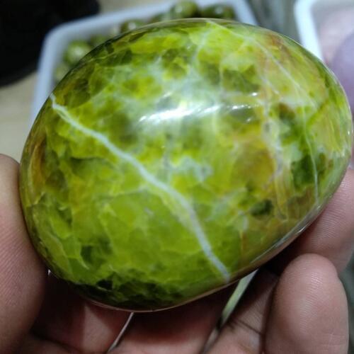 1PCS Natural Green Opal Palm Stone Crystal Polished Specimen Madagascar