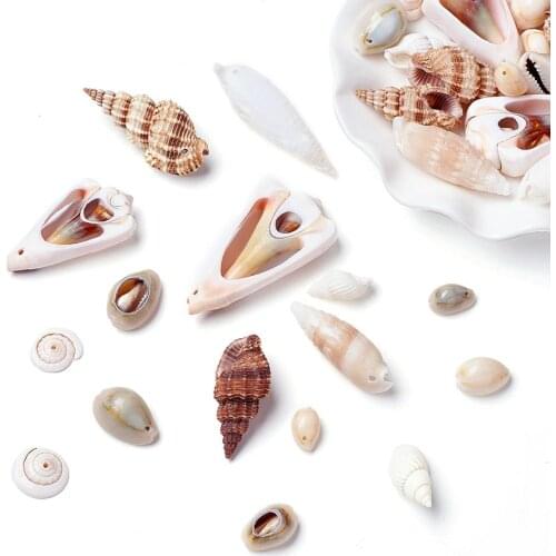 500g Trumpet Shell Beads Dyed Mixed Style Sea Beach Cowry Charm Beads for Women Earrings Bracelet Necklace Jewelry Making