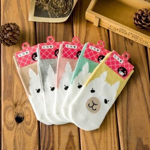 ZDL-219 Apparel Accessories Womens Cotton Ladies Bear Straight Boat Socks Shallow Mouth Cartoon Animals Dwayne 10 pairs