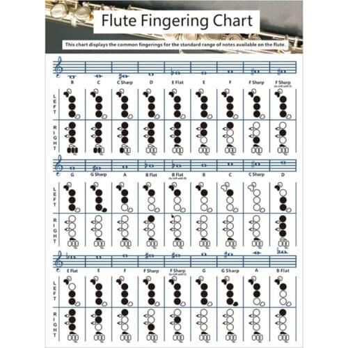 LARGE/SMALL Portable Guitar Chord Chart, Durable Portable Fingering Flute Chord Chart for Tainning and Practicing