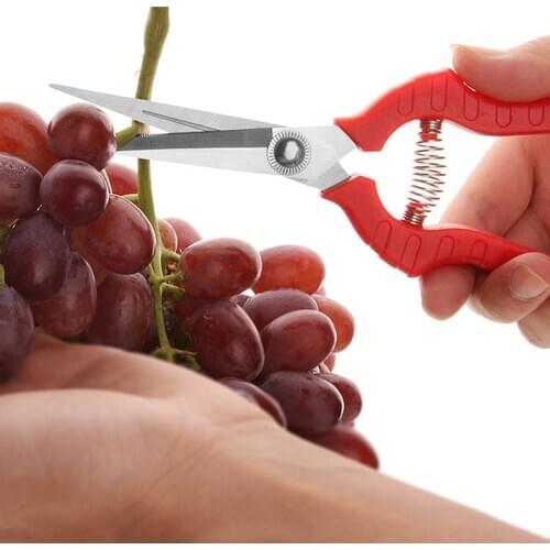 1pcs Sharp Garden Pruning Shears Fruit Tree Cut Branches Tool Stainless Steel Potted Scissors Grafting Tools Supplies