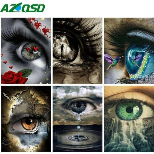 AZQSD Painting By Numbers Eye Birds Diy Framed 60x75cm Coloring By Numbers Landscape Face Unique Gift Home Decor Gift Wall Art