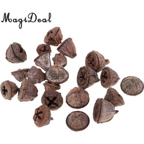 50pcs Rustic Natural Dried Flower Fruit Ornaments for Vase Filler Bowl Displays Wedding Party Christmas Home Table Decoration