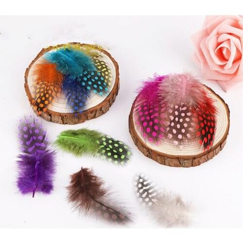 Guinea Fowl Dot Feather 4.5-8cm 2-4 Inches Dyed Chicken Pheasant Feathers for Crafts Plume Decoration Diy Christmas Accessories