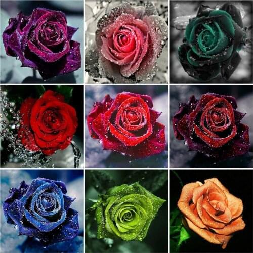 AZQSD DIY Diamond Art Painting Kits Rose Home Decoration Diamond Mosaic Flowers Cross Stitch Full Square Drill Handmade Gift