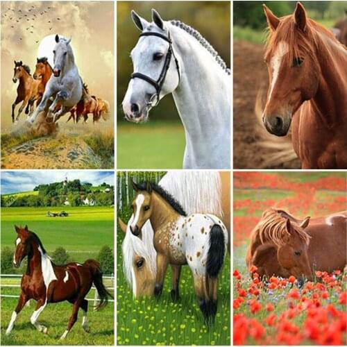 DIY Horse 5D Diamond Painting Full Square Drill Cross Stitch Kit Animal Embroidery Mosaic Rhinestones Wall Art Home Decor Gift