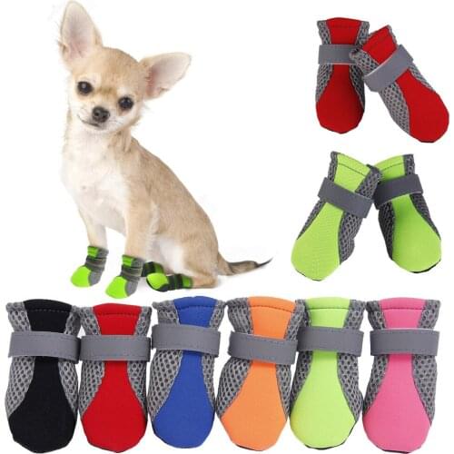 HAYMONMA Shoes For Dogs