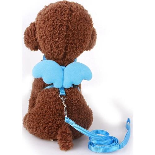 Dog Collar Lead Angle Wings Vest Dog Harness Leash Pets Accessories For Chihuahua Cat Harness And Leash Set Chest Strap Rope