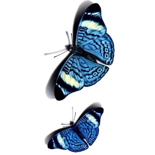 Cute Butterfly Waterproof Temporary Tattoo Sticker Tatoo Body Arts Flash Tattoo Men Henna Tattoo Sleeve Tatuajes Temporales