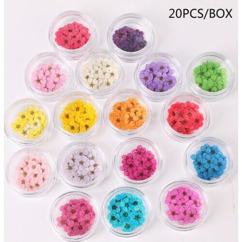 20pcs/jar Dried Flowers for Nail Art Decorations Colorful Natural Dry Flower 3d Beauty Floral Stickers UV Gel Manicure Decals