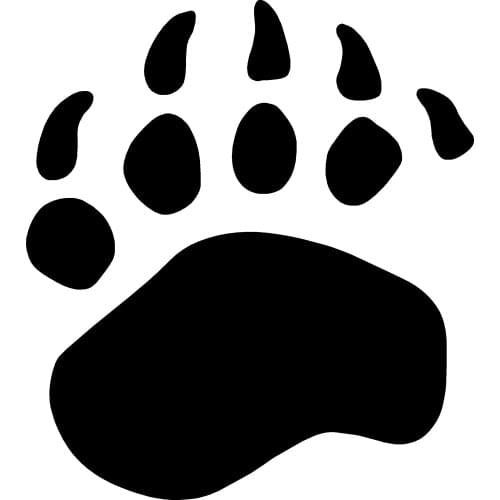 40613# Die-Cut Vinyl Decal Bear Paw Print Car Sticker Waterproof Auto Decors on Car Body Bumper Rear Window
