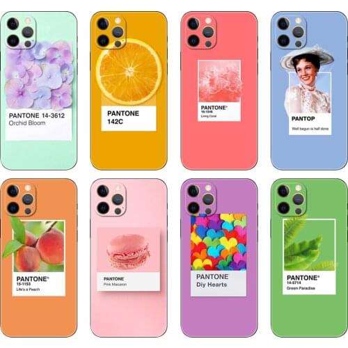 Black tpu case for iphone5s se 2020 6 6s 7 8 plus x 10 XR XS 11 12 mini pro MAX back Pantone Candy Color Fruit Cookie sky Novelt