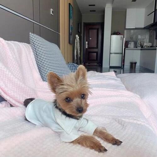 Cute Summer Pet Dog POLO T-shirt Vest Clothes Puppy Coat Jacket Sweater For Small Medium Dogs Corgi Pug Schnauzer LXC30