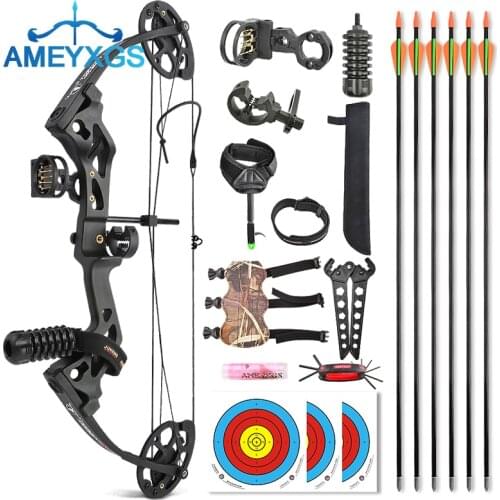 10-30Lbs Archery Compound Bow Set Right Hand Adjustable Draw Weight for Junior Beginner and Kids Hunting Shooting Accessories