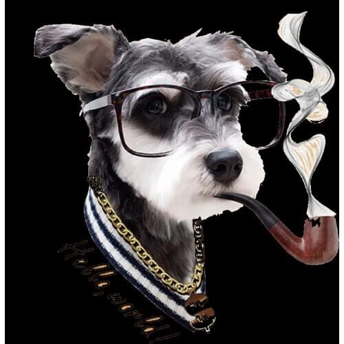 Retro look Dogs Patches For Kids Boys Clothing Diy Easy Use Parches Washable Appliqued Custom Heat Transfer Vinyl Stickers