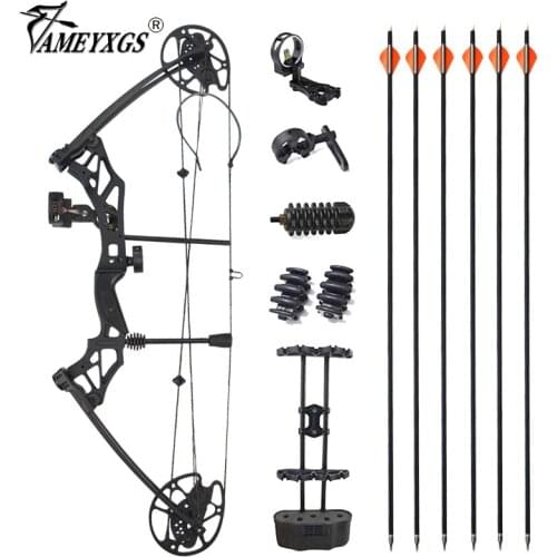 35.4" Archery Compound Bow 30-70lbs 320FPS Hunting Fishing Pully Bow Set With 500 Spine 31.5" Carbon Arrow For Shooting Sports