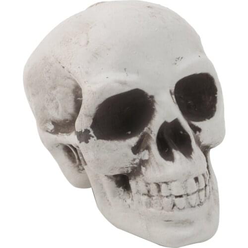 Brand New and High Quality Plastic Human Mini Skull Decor Prop Skeleton Head Halloween Coffee Bars Ornament