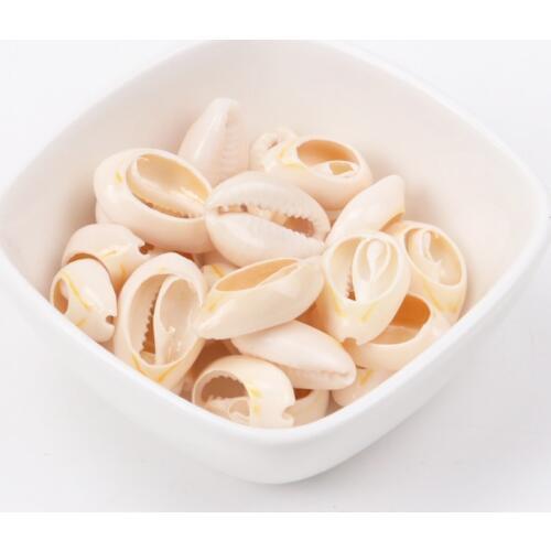 Creamy White Natural Sea Shell Loose Beads Accessories for Home Decoration Craft10-23mm 50pcs TRS0081