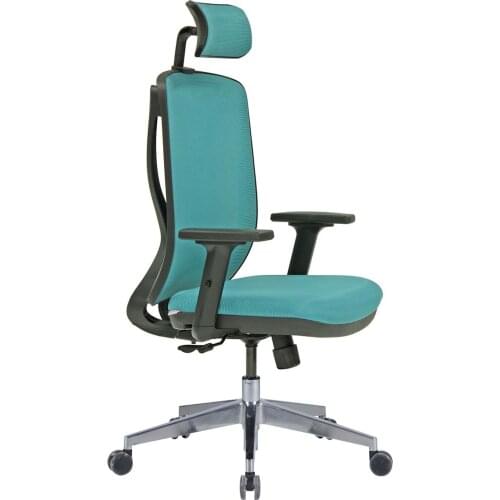 Space Office Event Meshed Manager Chair-Regulated Armlet-Blue