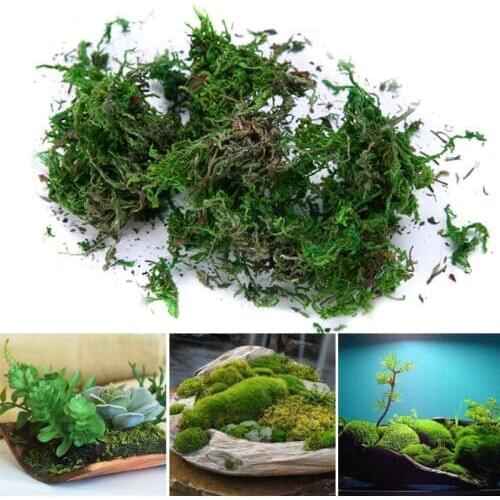 FAKE Artificial Dried Reindeer Moss for Flowers Grass Basket Plant Home Garden Garland Wedding Party DIY Decoration